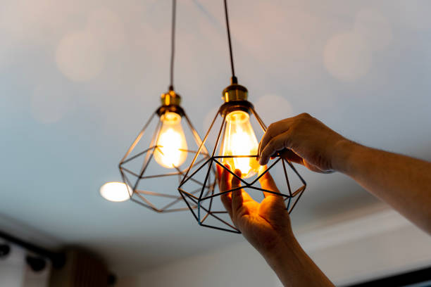 Best Industrial Electrical Services  in Lake Orion, MI