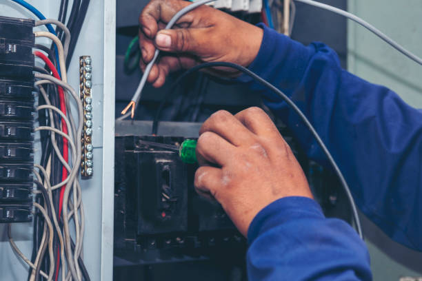 Best Electrician for Home Renovation  in Lake Orion, MI